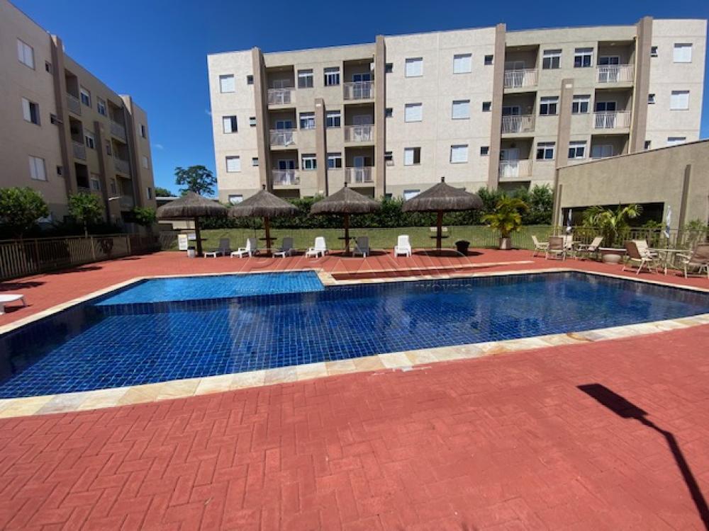 Comprar Apartamento / Padr&atilde;o em Bonfim Paulista R$ 210.000,00 - Foto 16
