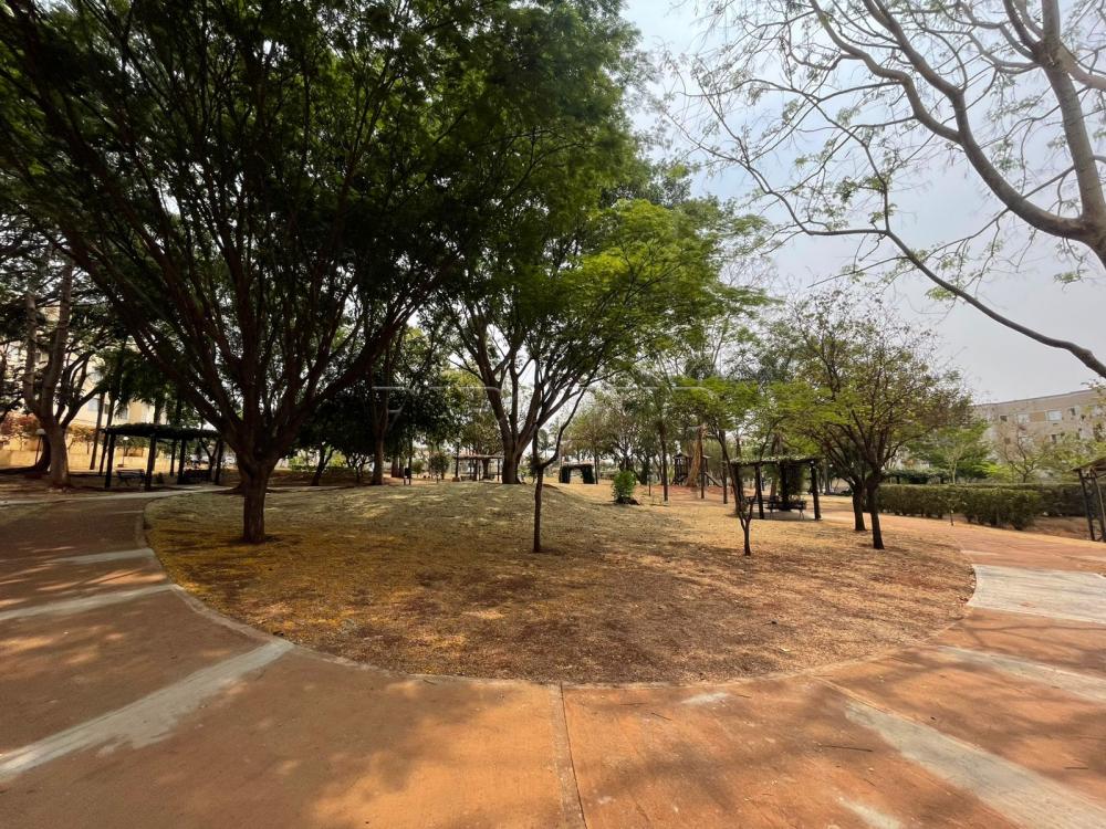 Alugar Apartamento / Padr&atilde;o em Ribeir&atilde;o Preto R$ 1.100,00 - Foto 24