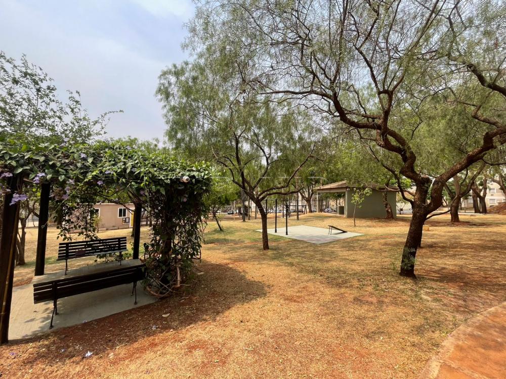 Alugar Apartamento / Padr&atilde;o em Ribeir&atilde;o Preto R$ 1.100,00 - Foto 26