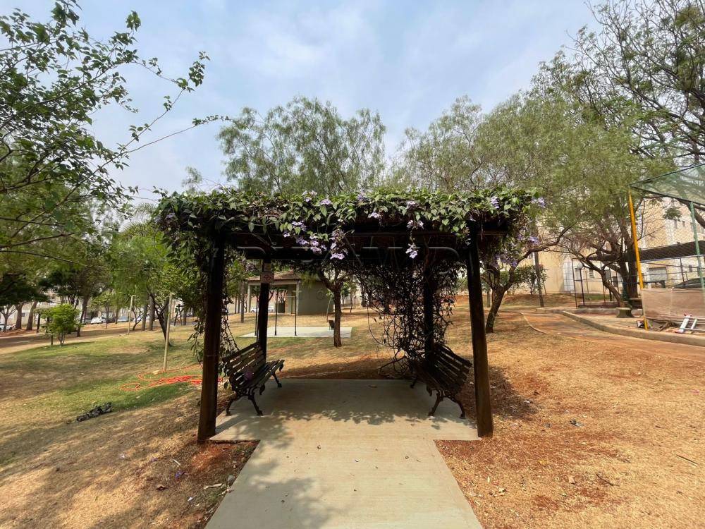 Alugar Apartamento / Padr&atilde;o em Ribeir&atilde;o Preto R$ 1.100,00 - Foto 30