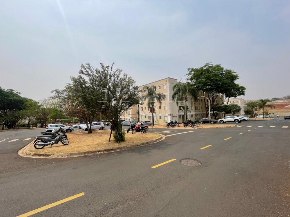 Alugar Apartamento / Padr&atilde;o em Ribeir&atilde;o Preto R$ 1.100,00 - Foto 13
