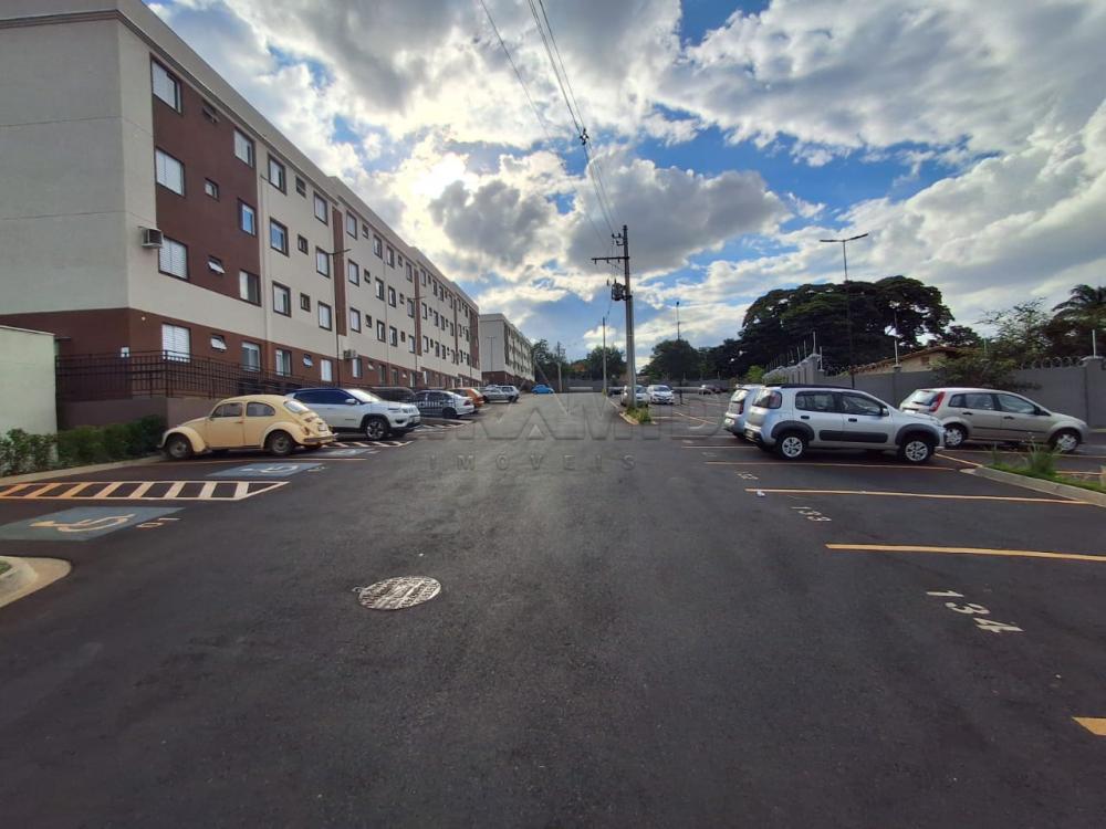 Alugar Apartamento / Padr&atilde;o em Ribeir&atilde;o Preto R$ 1.000,00 - Foto 15