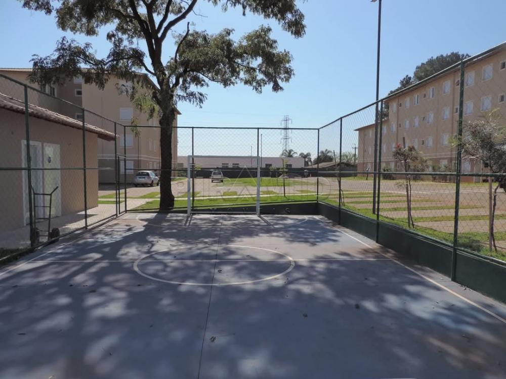 Alugar Apartamento / Padr&atilde;o em Ribeir&atilde;o Preto R$ 900,00 - Foto 14