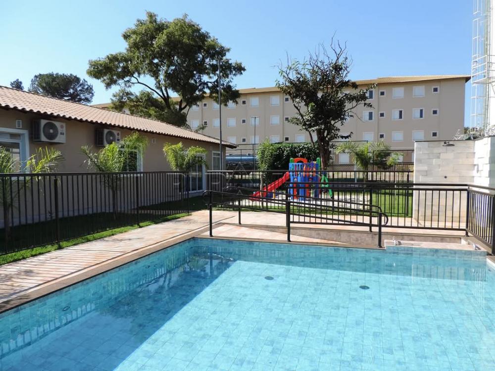 Alugar Apartamento / Padr&atilde;o em Ribeir&atilde;o Preto R$ 900,00 - Foto 10