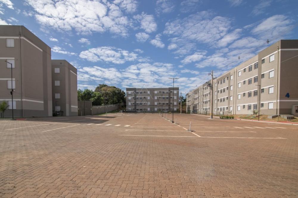 Alugar Apartamento / Padr&atilde;o em Ribeir&atilde;o Preto R$ 1.250,00 - Foto 12