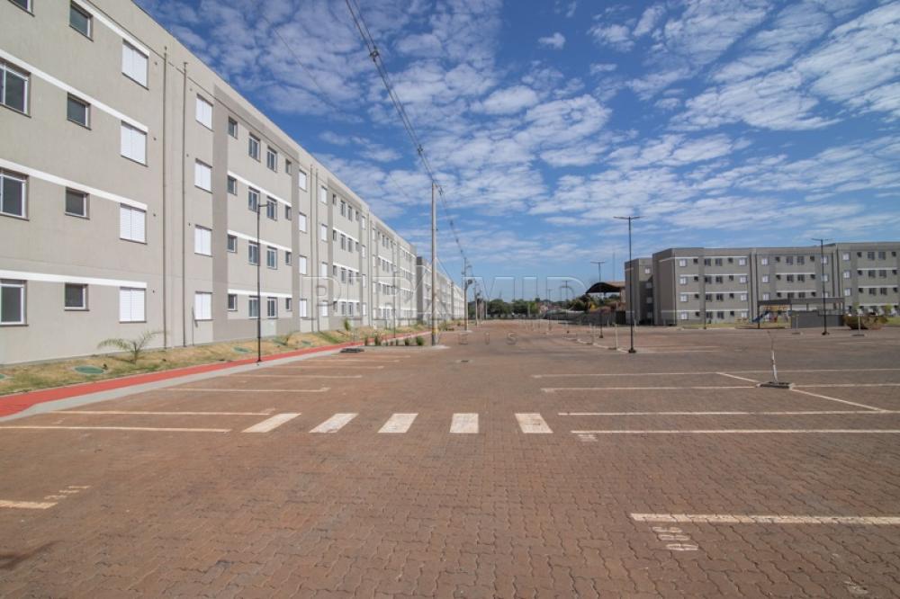 Alugar Apartamento / Padr&atilde;o em Ribeir&atilde;o Preto R$ 1.250,00 - Foto 10