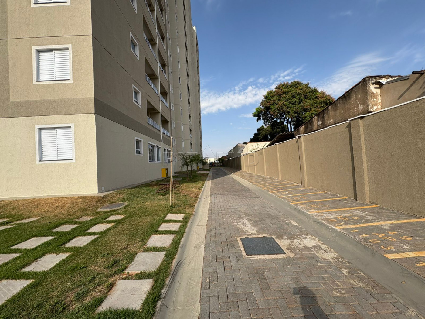 Alugar Apartamento / Padr&atilde;o em Ribeir&atilde;o Preto R$ 1.100,00 - Foto 10