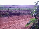 Ribeirao Preto Parque das Oliveiras Area Venda R$24.200.000,00 