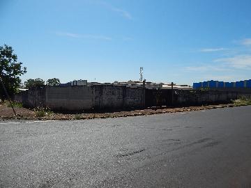 Ribeirao Preto Lagoinha Terreno Venda R$7.500.000,00  Area do terreno 5000.00m2 