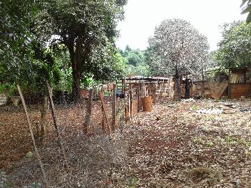 Ribeirao Preto Jose Sampaio Terreno Venda R$550.000,00  Area do terreno 3010.00m2 