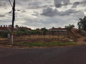 Ribeirao Preto Ribeirania Terreno Venda R$2.800.000,00  Area do terreno 800.00m2 