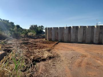 Ribeirao Preto Vila Elisa Terreno Locacao R$ 15.000,00  Area do terreno 1364.60m2 