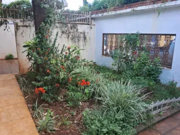 Ribeirao Preto Vila Monte Alegre Casa Venda R$800.000,00 4 Dormitorios 4 Vagas Area do terreno 540.00m2 Area construida 199.76m2