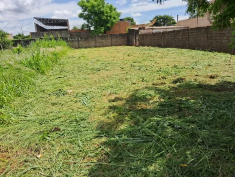 Ribeirao Preto Vila Brasil Terreno Venda R$205.000,00  Area do terreno 340.00m2 