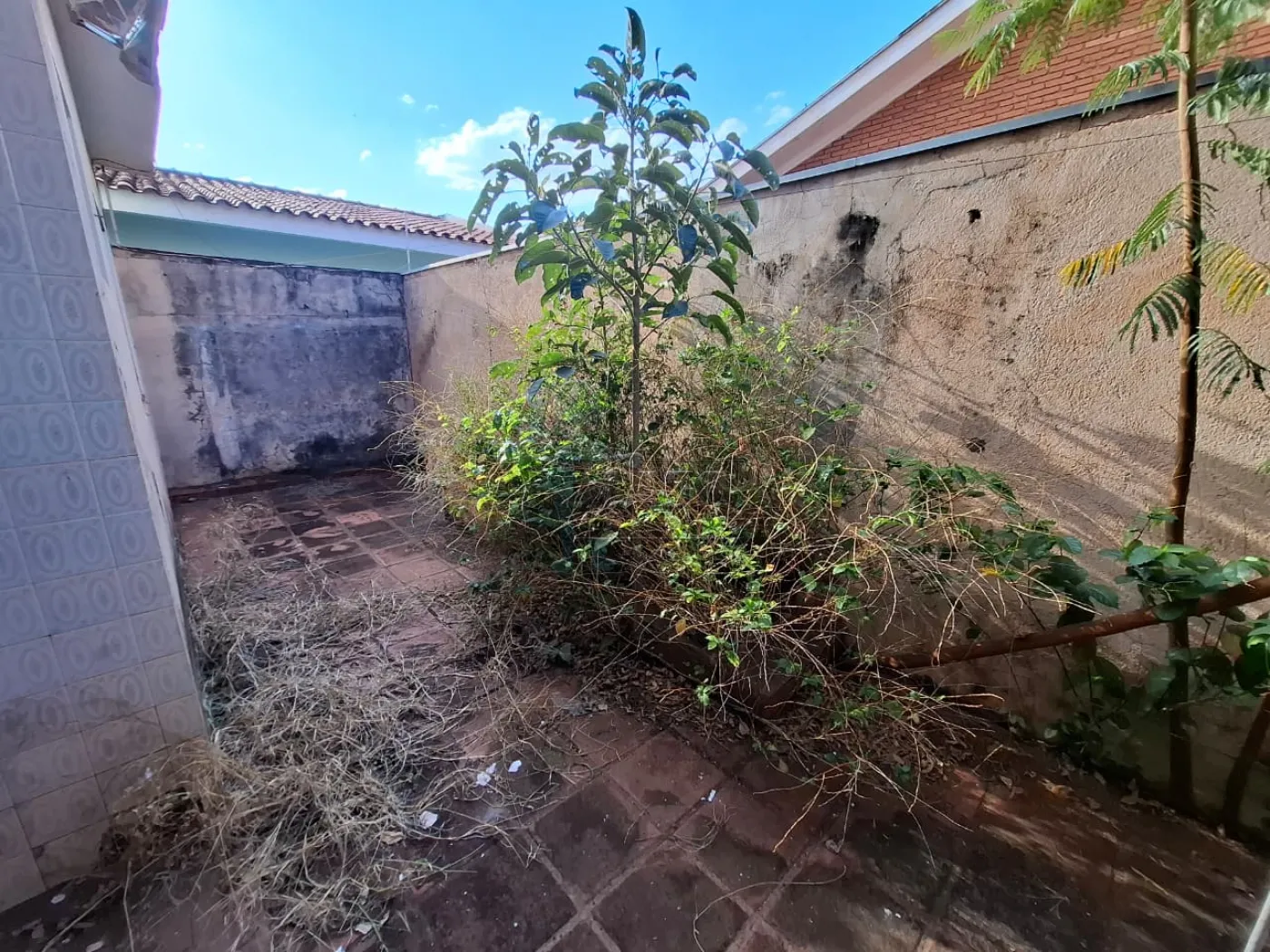 Alugar Casa / Padr&atilde;o em Ribeir&atilde;o Preto R$ 350,00 - Foto 14