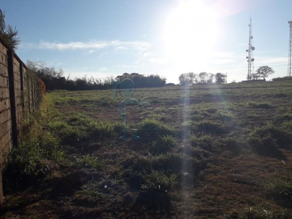 Comprar Terreno / Padr&atilde;o em Bonfim Paulista R$ 1.100.000,00 - Foto 2