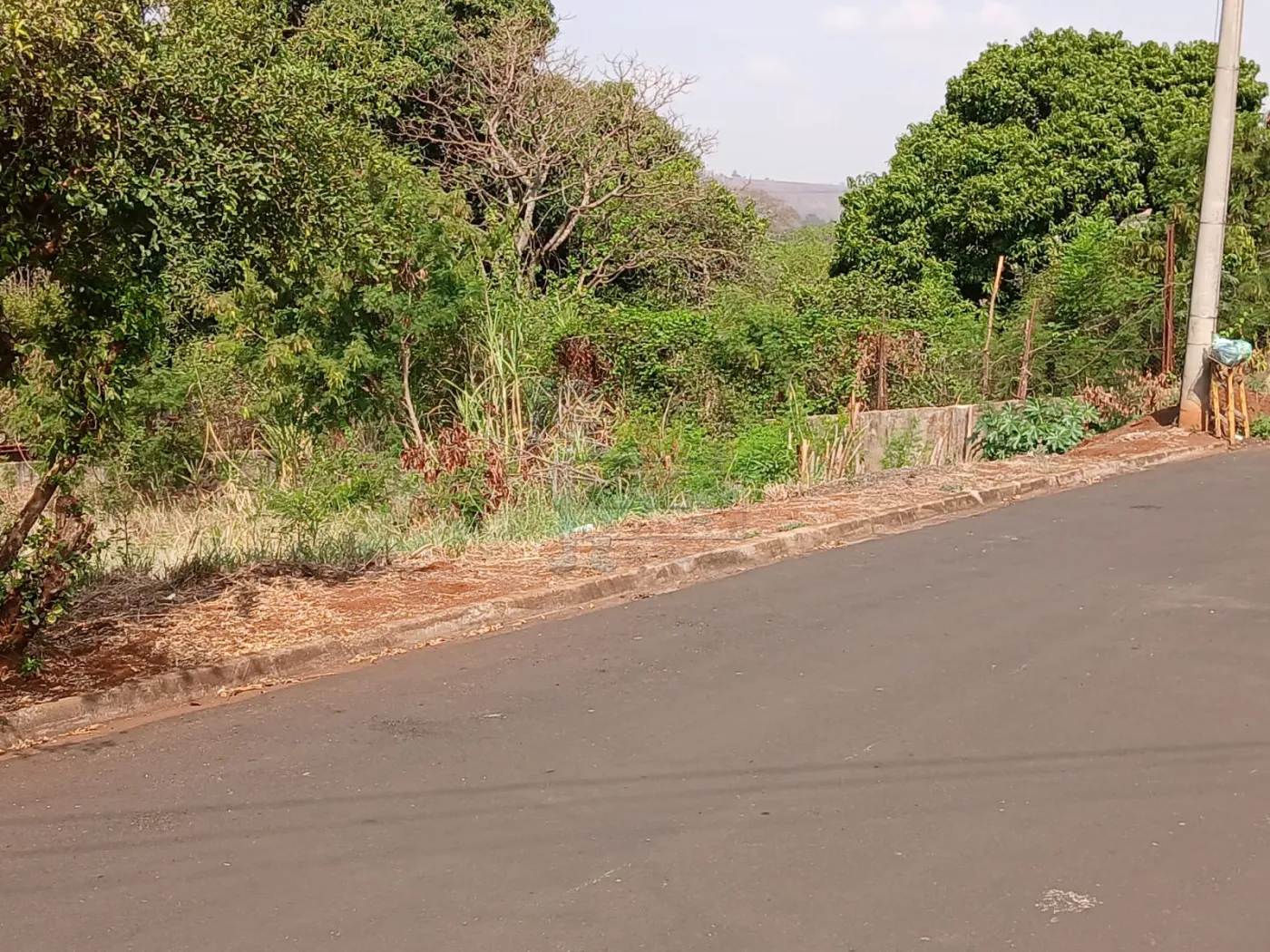 Comprar Terreno / Padr&atilde;o em Bonfim Paulista R$ 11.500.000,00 - Foto 18