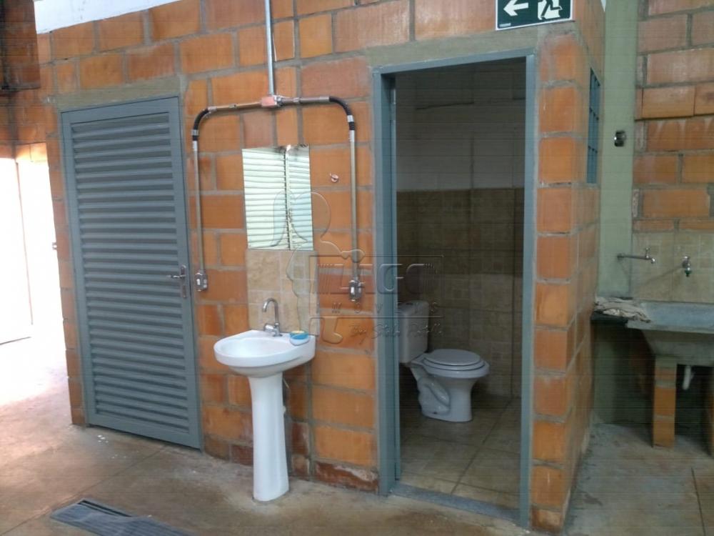 Alugar Comercial padr&atilde;o / Galp&atilde;o - Armaz&eacute;m em Bonfim Paulista R$ 4.000,00 - Foto 5