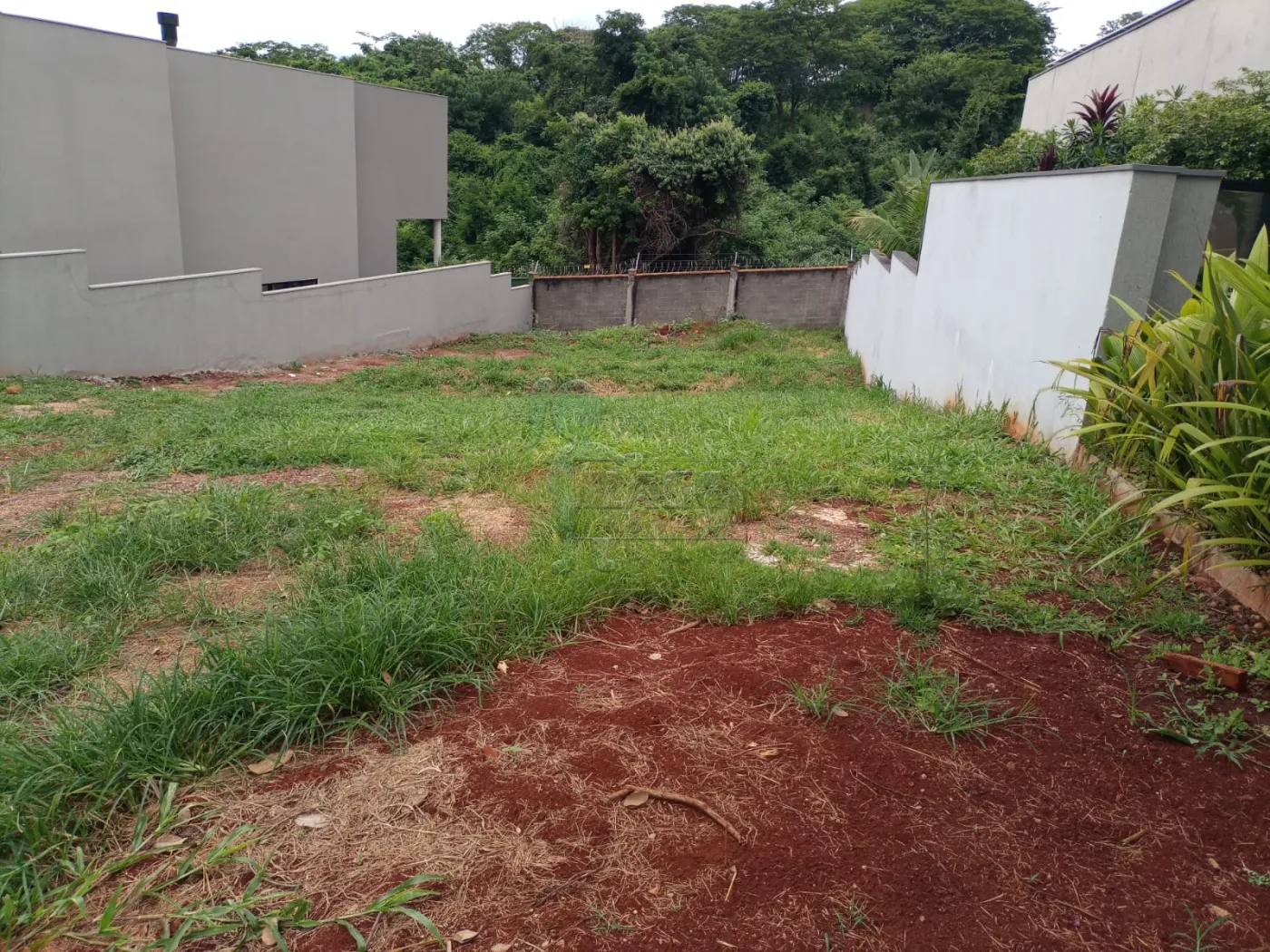 Alugar Terreno / Condom&iacute;nio em Bonfim Paulista R$ 5.500,00 - Foto 2