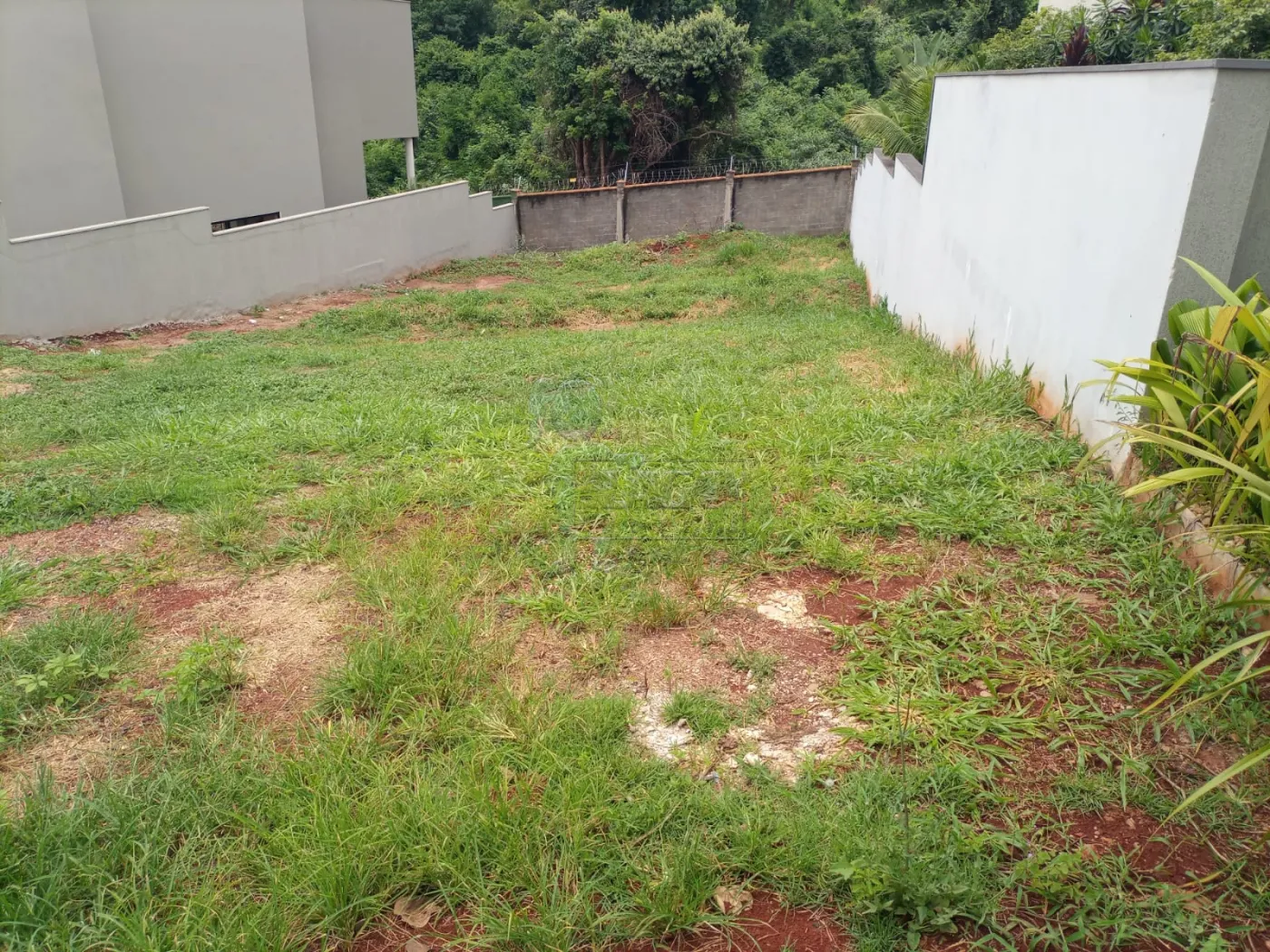 Alugar Terreno / Condom&iacute;nio em Bonfim Paulista R$ 5.500,00 - Foto 3