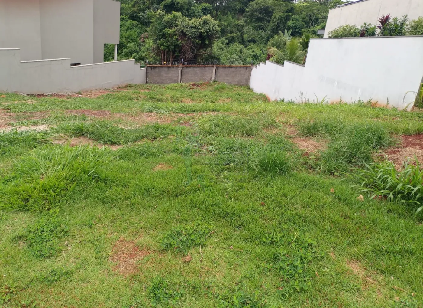 Alugar Terreno / Condom&iacute;nio em Bonfim Paulista R$ 5.500,00 - Foto 4