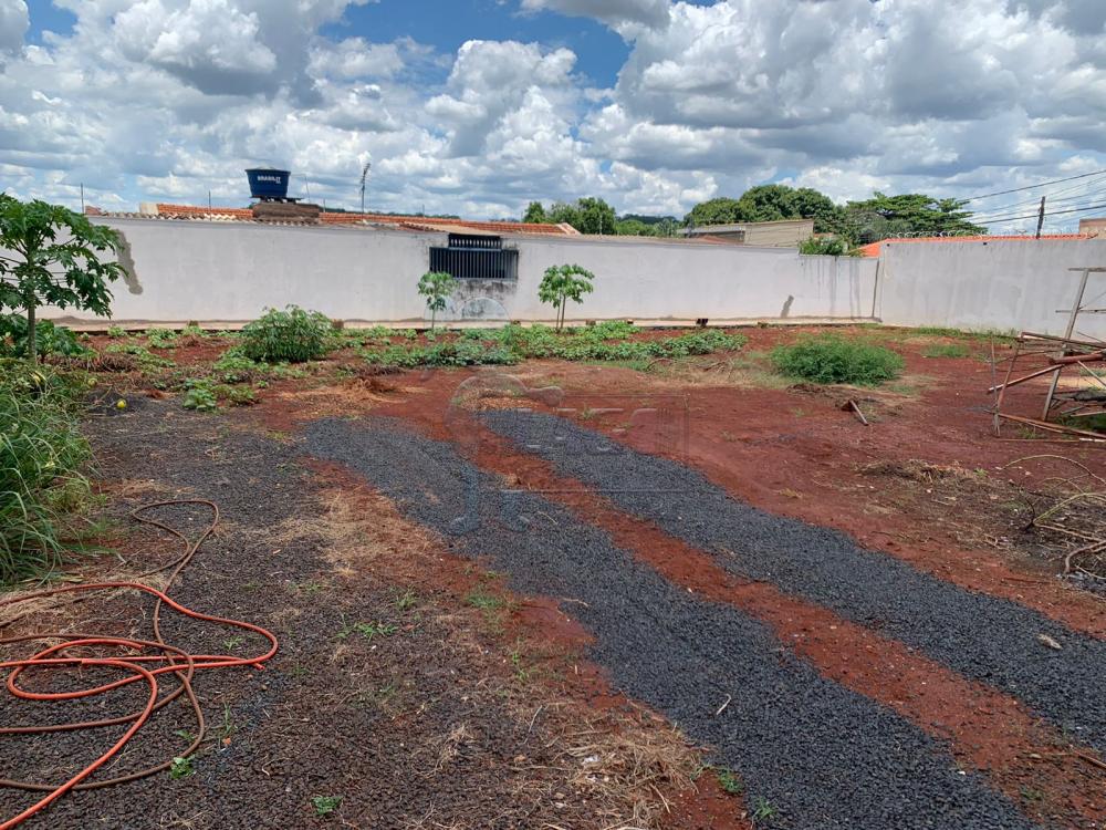 Alugar Terreno / Padr&atilde;o em Ribeir&atilde;o Preto R$ 2.800,00 - Foto 3