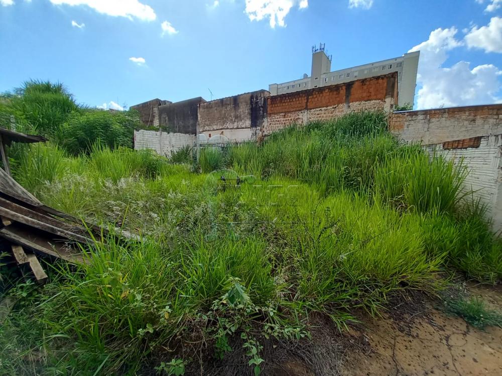 Alugar Casa / Padr&atilde;o em Ribeir&atilde;o Preto R$ 5.000,00 - Foto 2