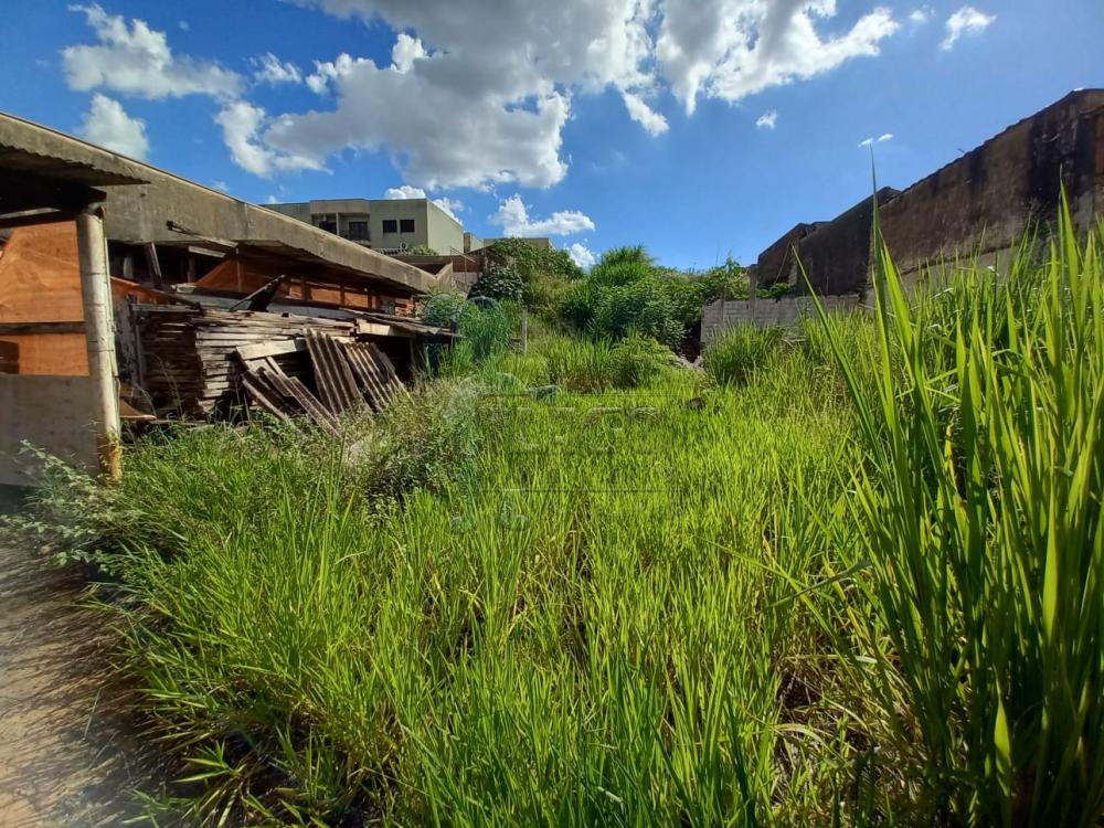 Alugar Casa / Padr&atilde;o em Ribeir&atilde;o Preto R$ 5.000,00 - Foto 3