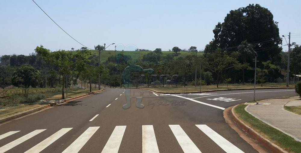 Comprar Terreno / Padr&atilde;o em Bonfim Paulista R$ 175.000,00 - Foto 3