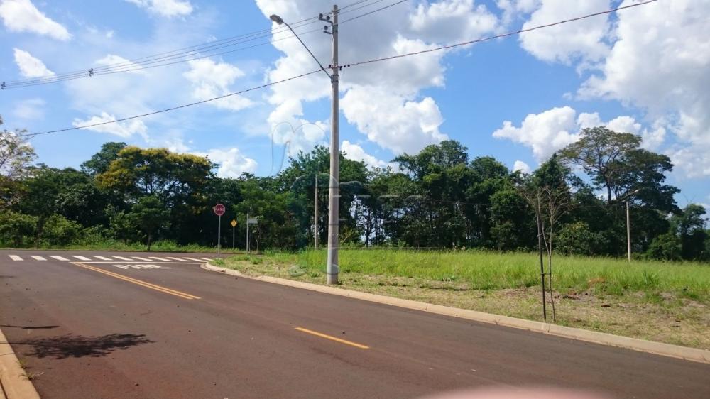 Comprar Terreno / Padr&atilde;o em Bonfim Paulista R$ 175.000,00 - Foto 4