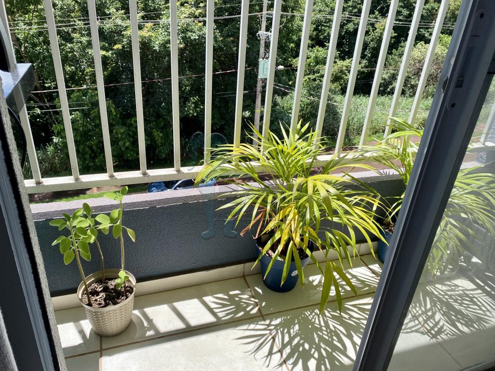 Comprar Apartamento / Padr&atilde;o em Bonfim Paulista R$ 192.000,00 - Foto 5