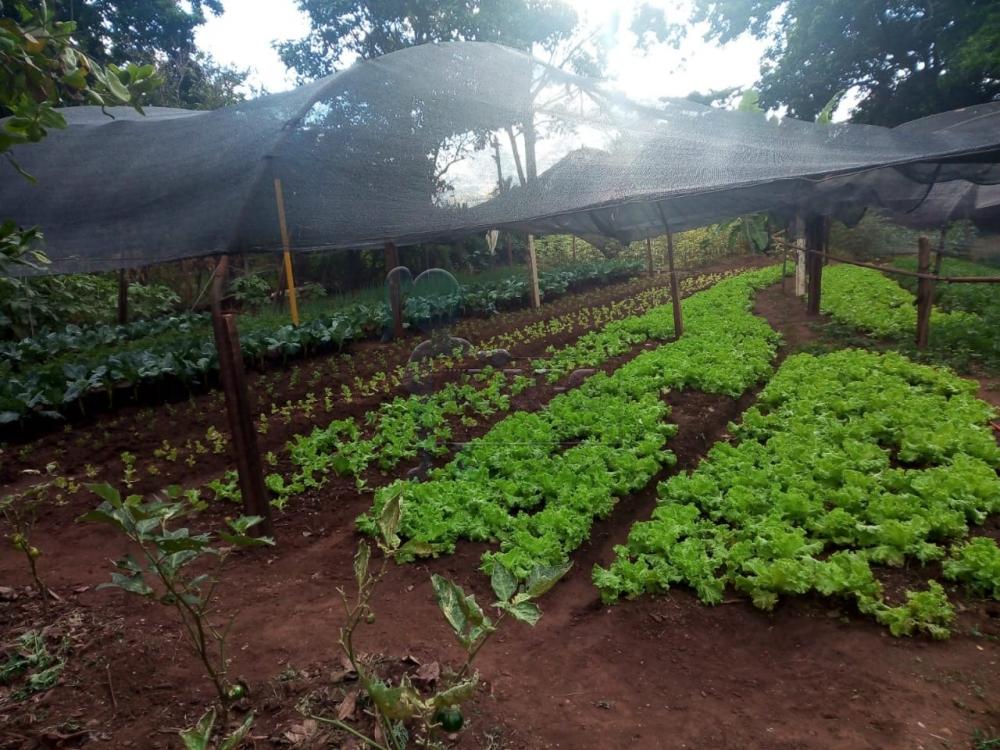 Comprar Casa / Ch&aacute;cara - Rancho em Ribeir&atilde;o Preto R$ 430.000,00 - Foto 7