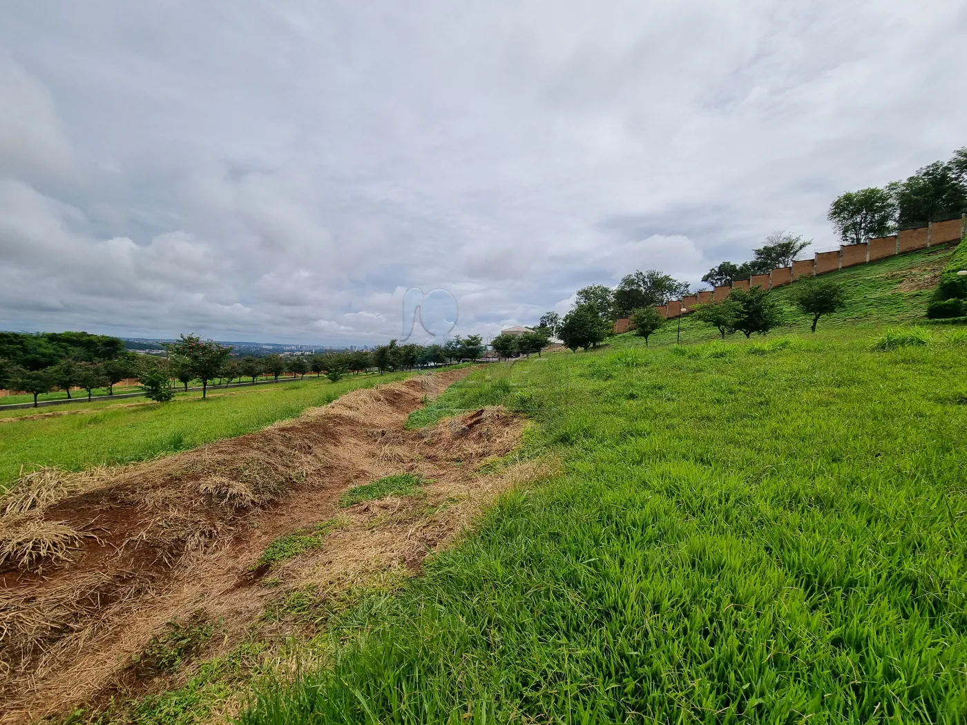Comprar Terreno / Condom&iacute;nio em Bonfim Paulista R$ 1.100.000,00 - Foto 3