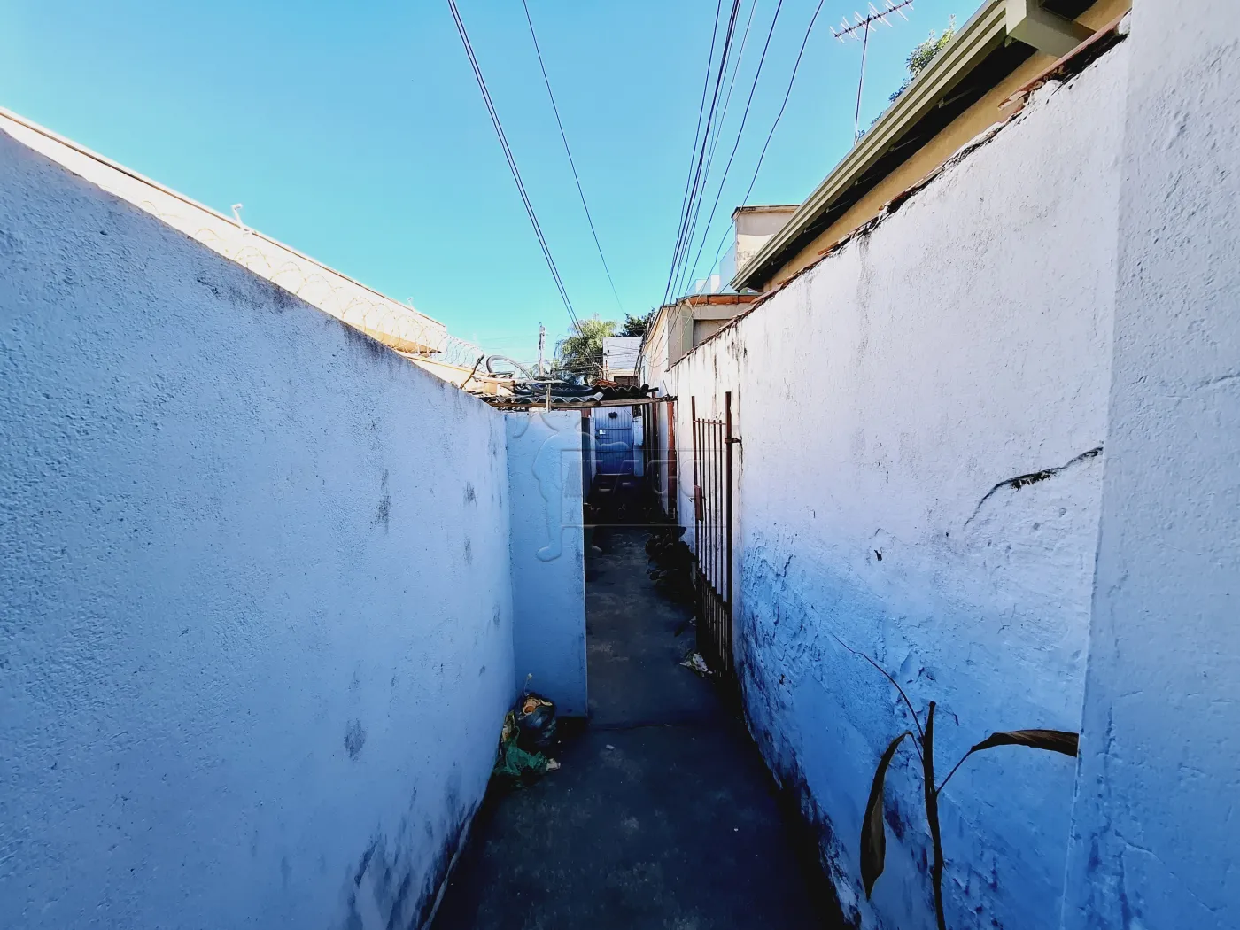 Alugar Casa / Padr&atilde;o em Ribeir&atilde;o Preto R$ 800,00 - Foto 21