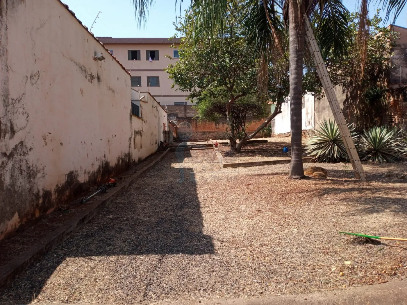 Alugar Terreno / Padr&atilde;o em Ribeir&atilde;o Preto R$ 3.000,00 - Foto 4