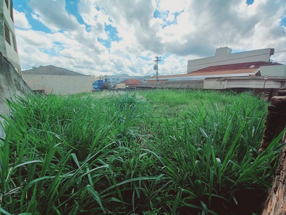 Alugar Terreno / Padr&atilde;o em Ribeir&atilde;o Preto R$ 6.000,00 - Foto 2
