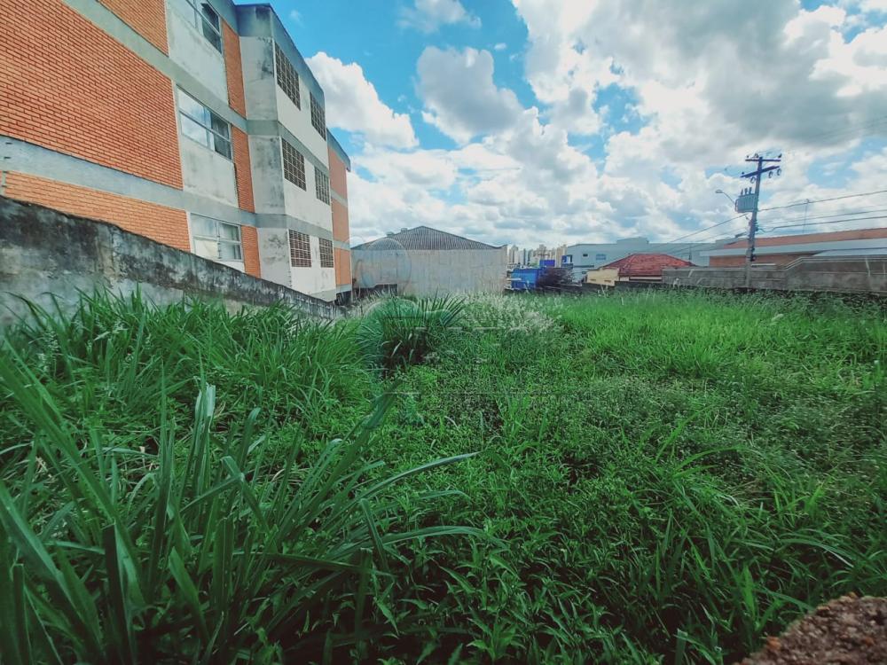 Alugar Terreno / Padr&atilde;o em Ribeir&atilde;o Preto R$ 6.000,00 - Foto 4