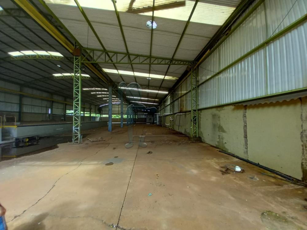Alugar Comercial padr&atilde;o / Galp&atilde;o - Armaz&eacute;m em Ribeir&atilde;o Preto R$ 35.000,00 - Foto 1