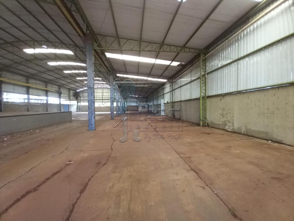Alugar Comercial padr&atilde;o / Galp&atilde;o - Armaz&eacute;m em Ribeir&atilde;o Preto R$ 35.000,00 - Foto 3