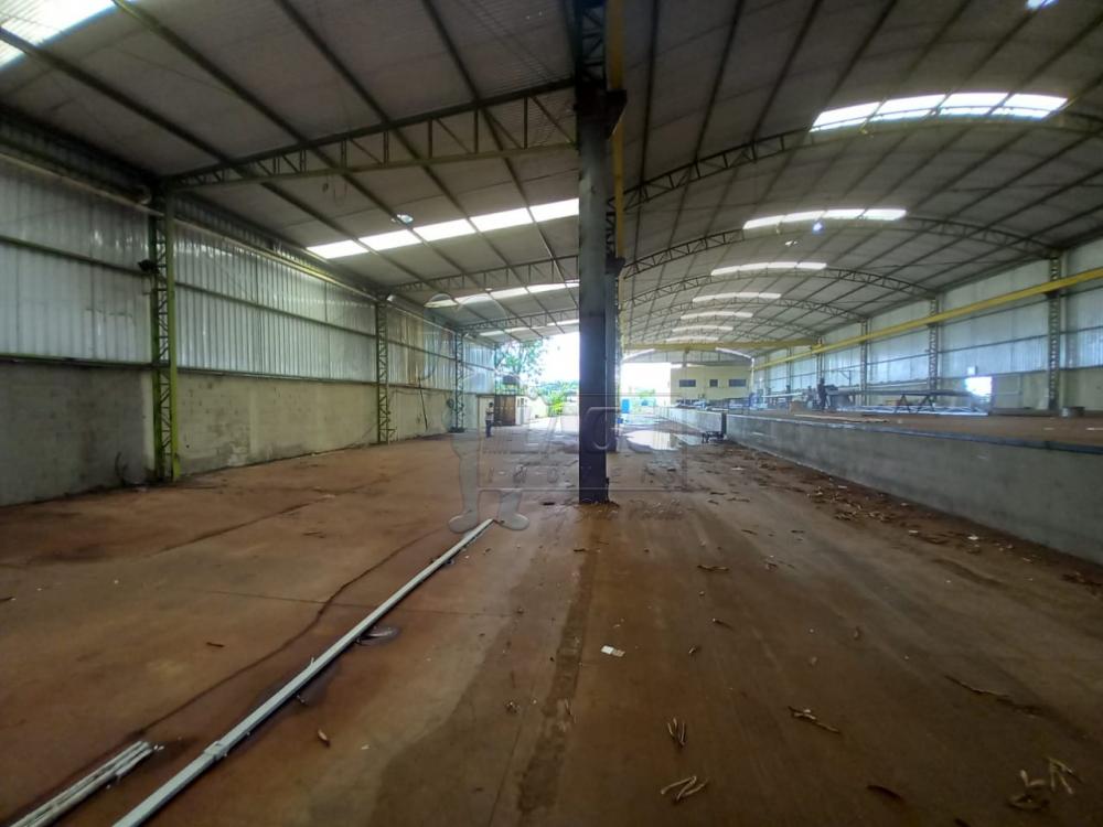 Alugar Comercial padr&atilde;o / Galp&atilde;o - Armaz&eacute;m em Ribeir&atilde;o Preto R$ 35.000,00 - Foto 5