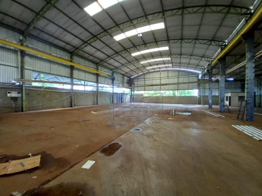 Alugar Comercial padr&atilde;o / Galp&atilde;o - Armaz&eacute;m em Ribeir&atilde;o Preto R$ 35.000,00 - Foto 6