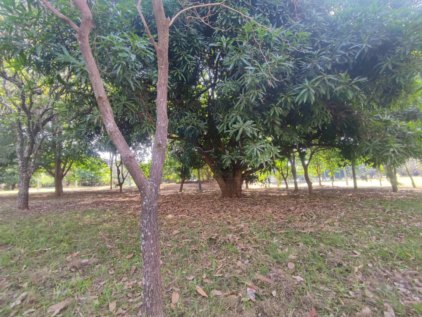 Comprar Terreno / Condom&iacute;nio em Bonfim Paulista R$ 1.000.000,00 - Foto 15