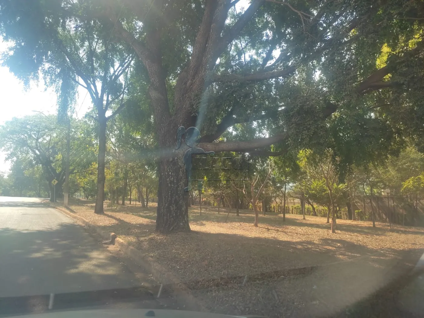 Comprar Terreno / Condom&iacute;nio em Bonfim Paulista R$ 1.000.000,00 - Foto 6