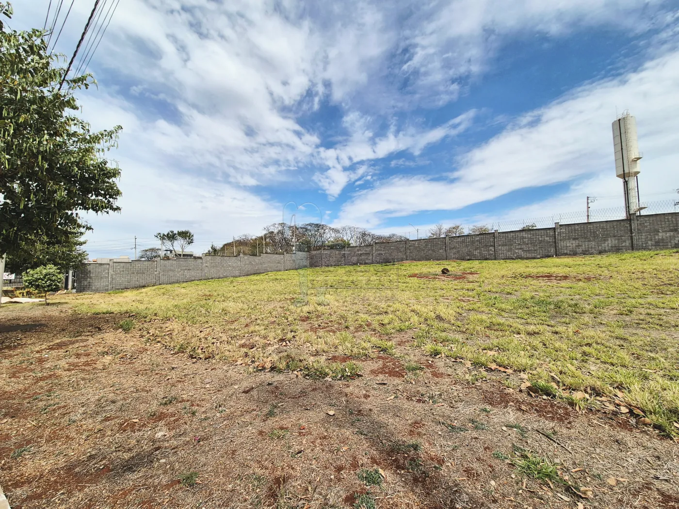 Comprar Terreno / Condom&iacute;nio em Bonfim Paulista R$ 235.000,00 - Foto 3