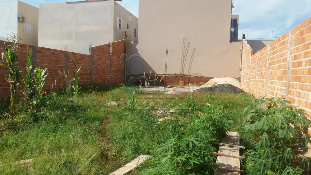 Comprar Terreno / Padr&atilde;o em Barrinha R$ 122.000,00 - Foto 1