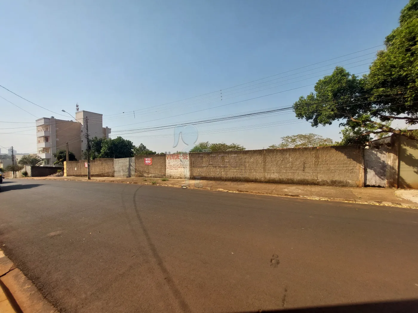 Alugar Terreno / Padr&atilde;o em Bonfim Paulista R$ 6.500,00 - Foto 1