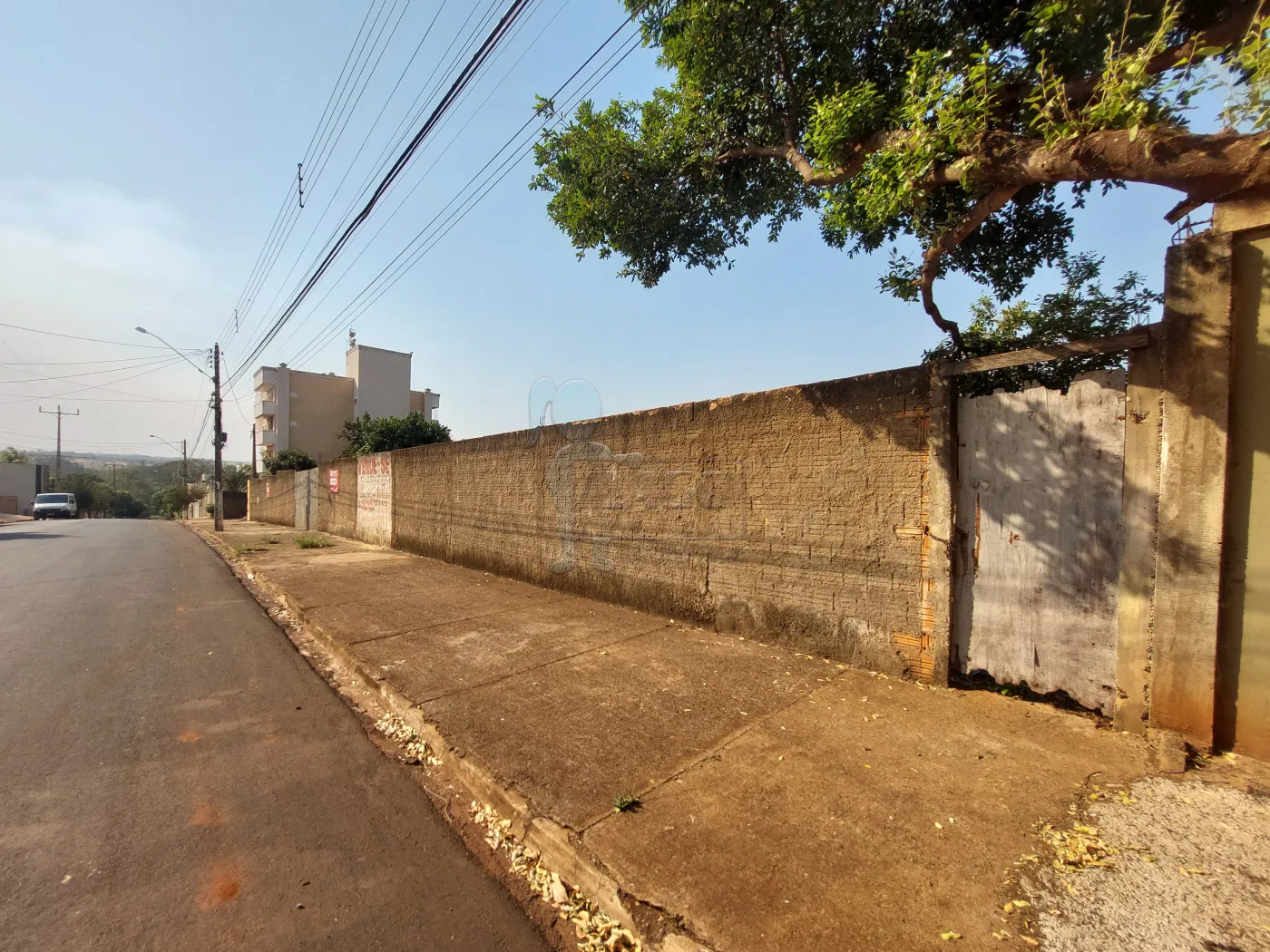 Alugar Terreno / Padr&atilde;o em Bonfim Paulista R$ 6.500,00 - Foto 2