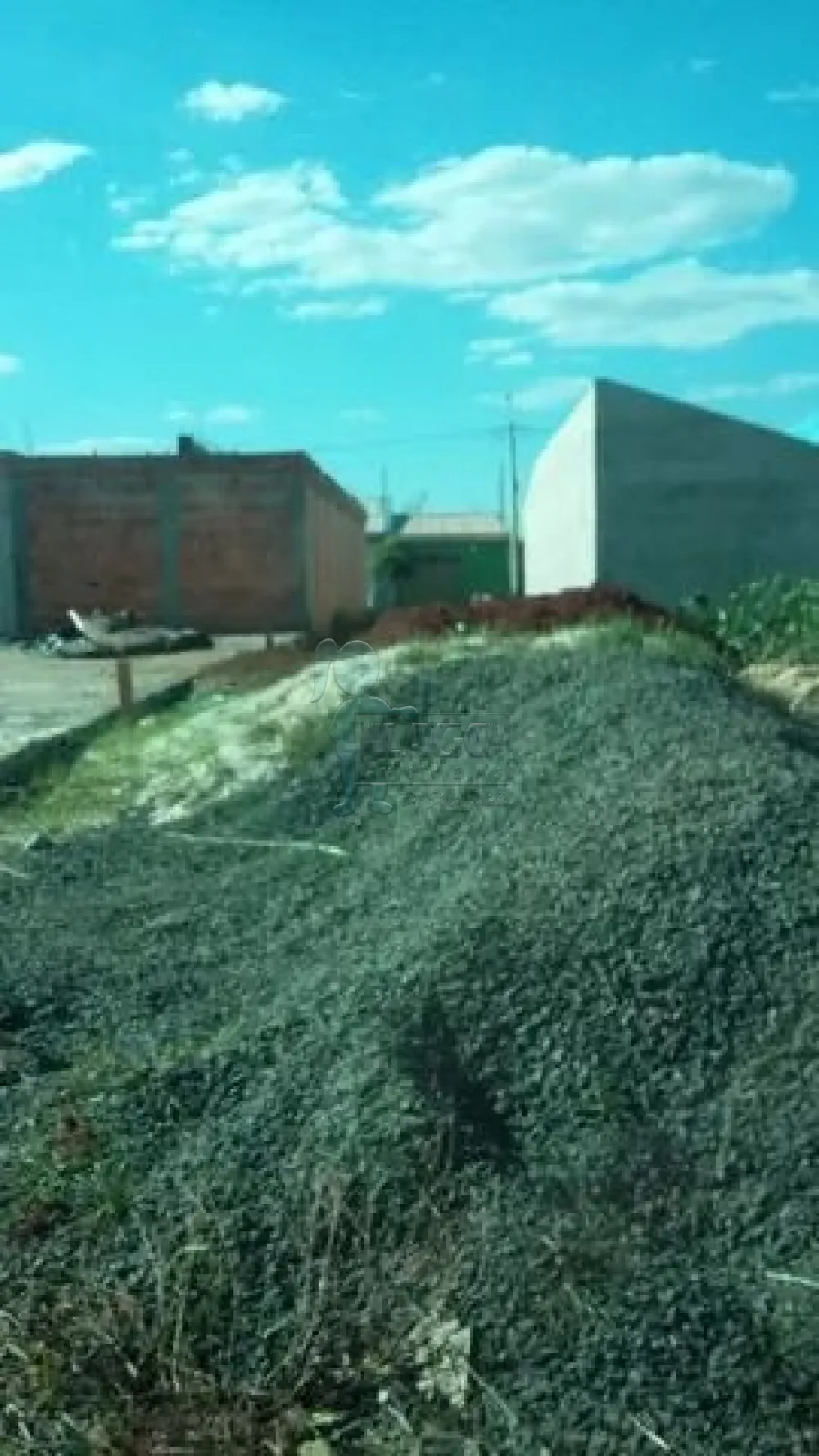 Comprar Terreno / Padr&atilde;o em Barrinha R$ 112.000,00 - Foto 2