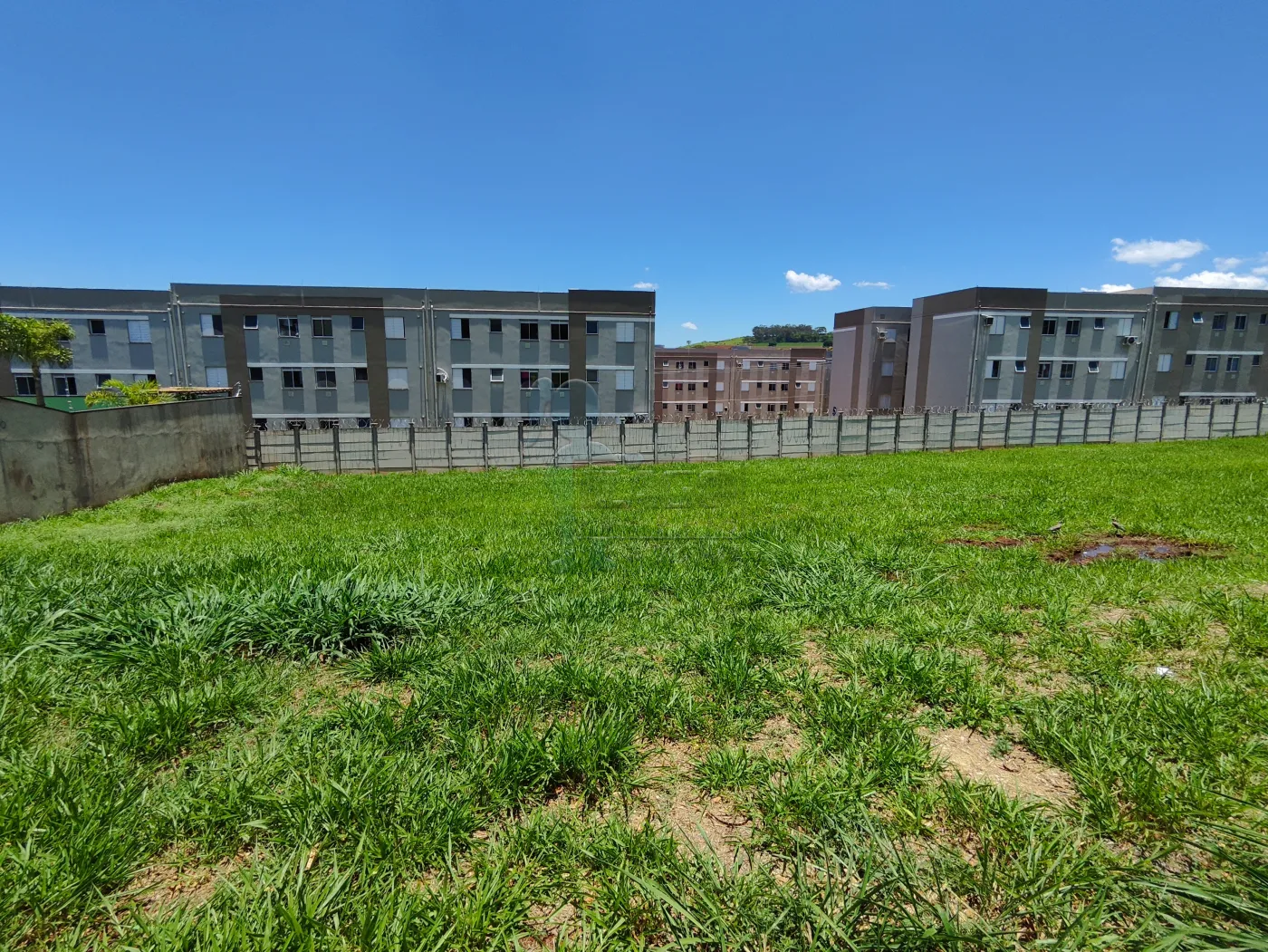 Comprar Terreno / Padr&atilde;o em Bonfim Paulista R$ 200.000,00 - Foto 4