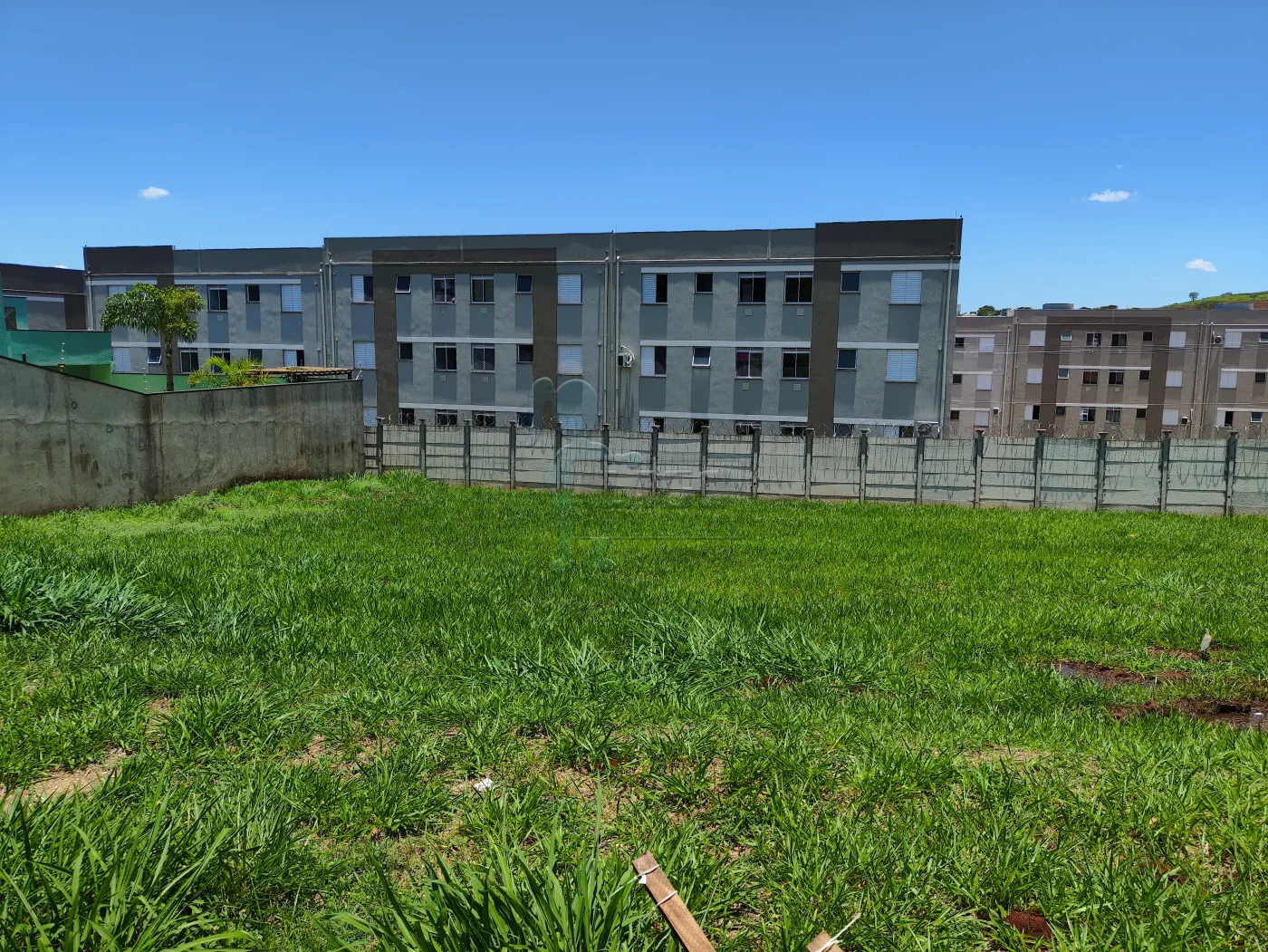 Comprar Terreno / Padr&atilde;o em Bonfim Paulista R$ 200.000,00 - Foto 6